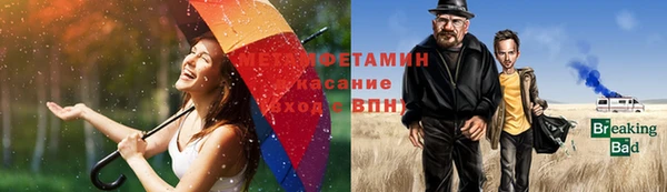 сатива Карпинск