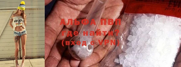 сатива Карпинск
