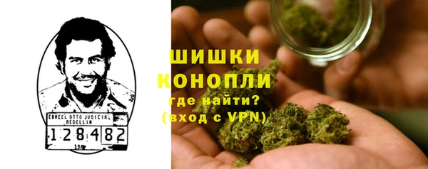 сатива Карпинск
