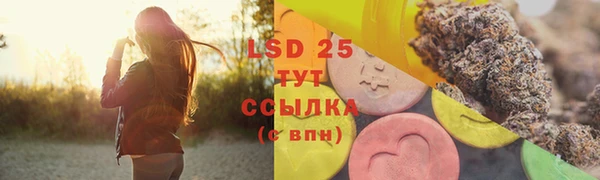 сатива Карпинск