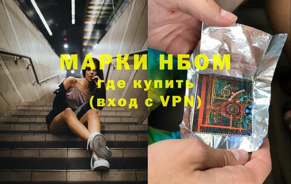 сатива Карпинск