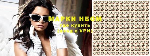 сатива Карпинск